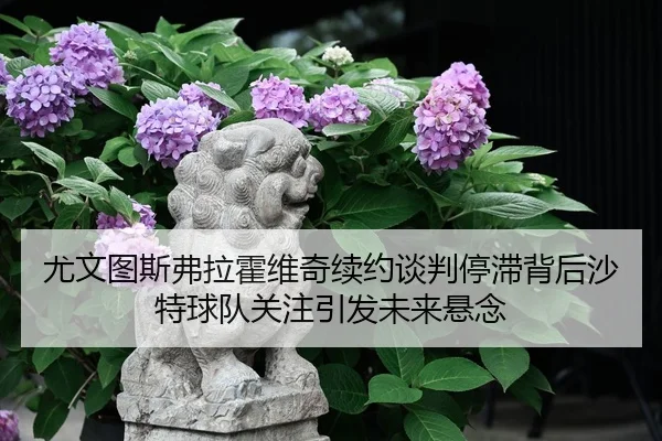 尤文图斯弗拉霍维奇续约谈判停滞背后沙特球队关注引发未来悬念